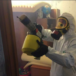 Уничтожение клопов в квартире. Трубчевск